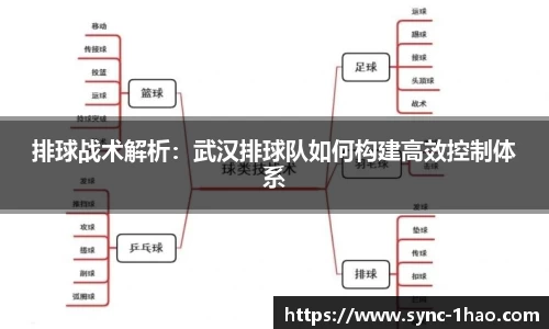 排球战术解析：武汉排球队如何构建高效控制体系